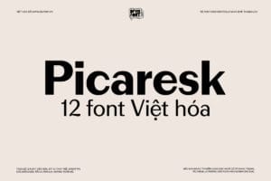 DFVN Picaresk Font Viet hoa