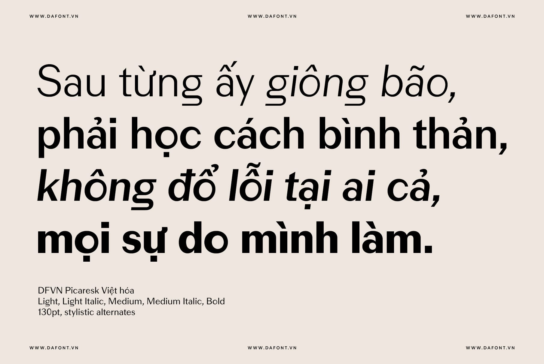 DFVN Picaresk Font Việt hóa pic4