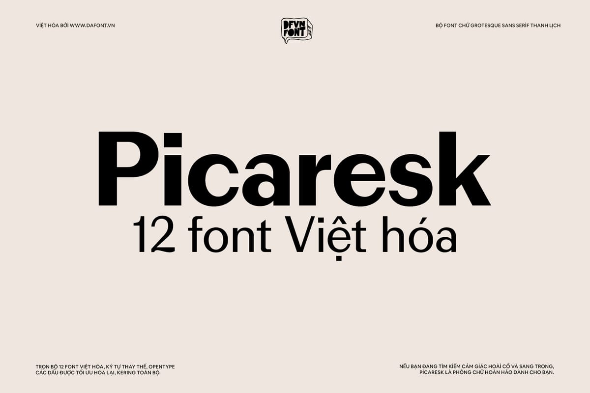 DFVN Picaresk Việt hóa (12 font) 13 DFVN Picaresk Font Viet hoa