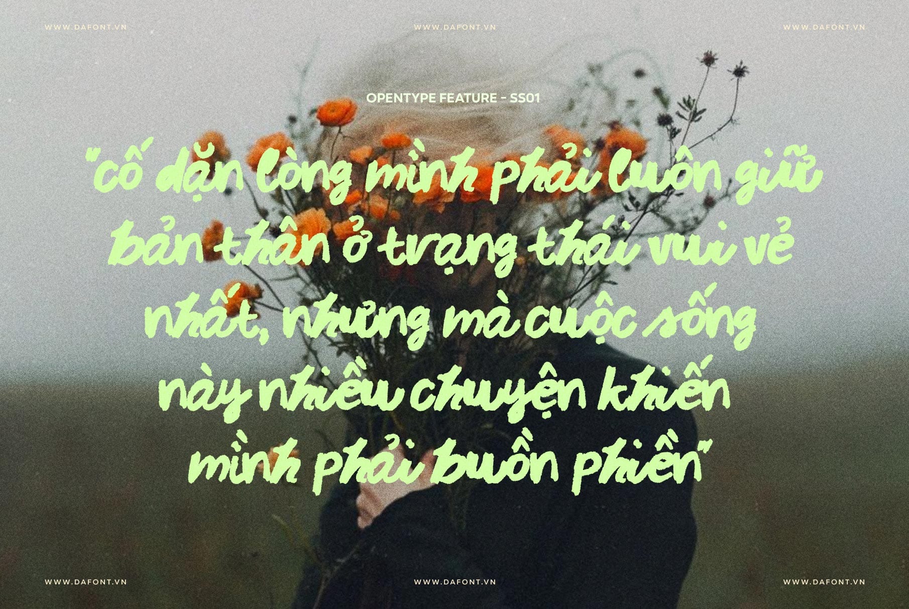 DFVN Midnight Chianti