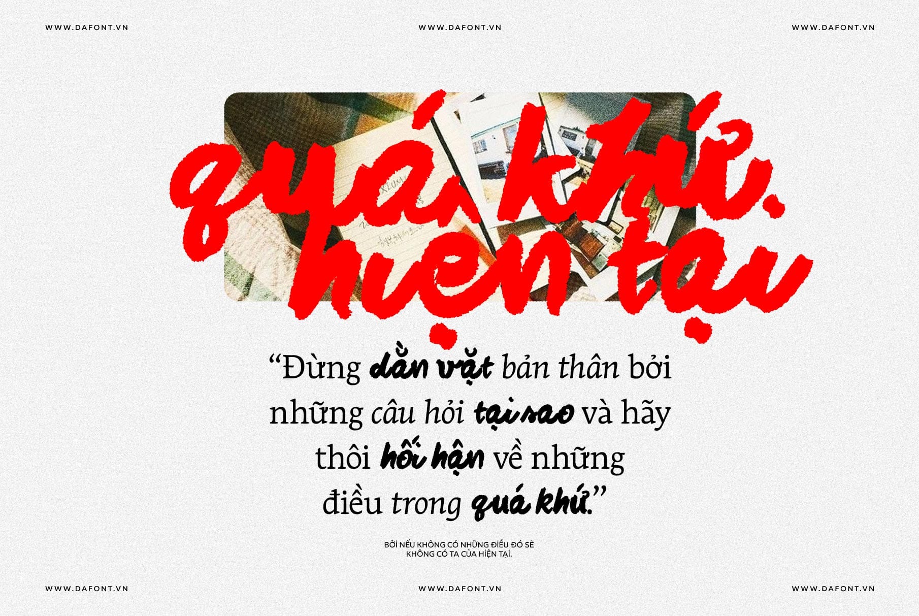 DFVN Midnight Chianti