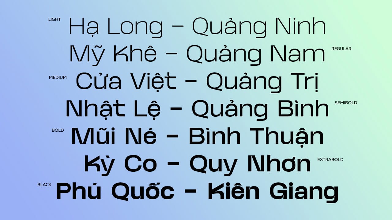 DFVN Neue Kaine Font Việt hóa pic1