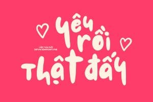 DFVN Le Petit Cochon Font Viet hoa