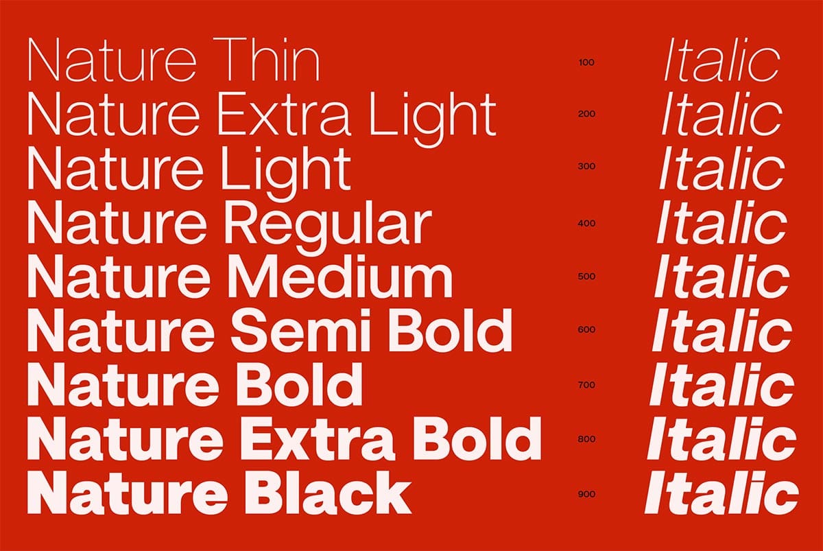 ZT Nature Font Family pic1