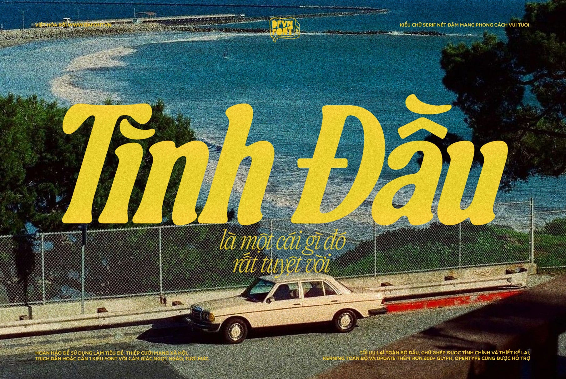 DFVN TAN - SUNSET