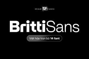 DFVN Britti San Font Viet Hoa