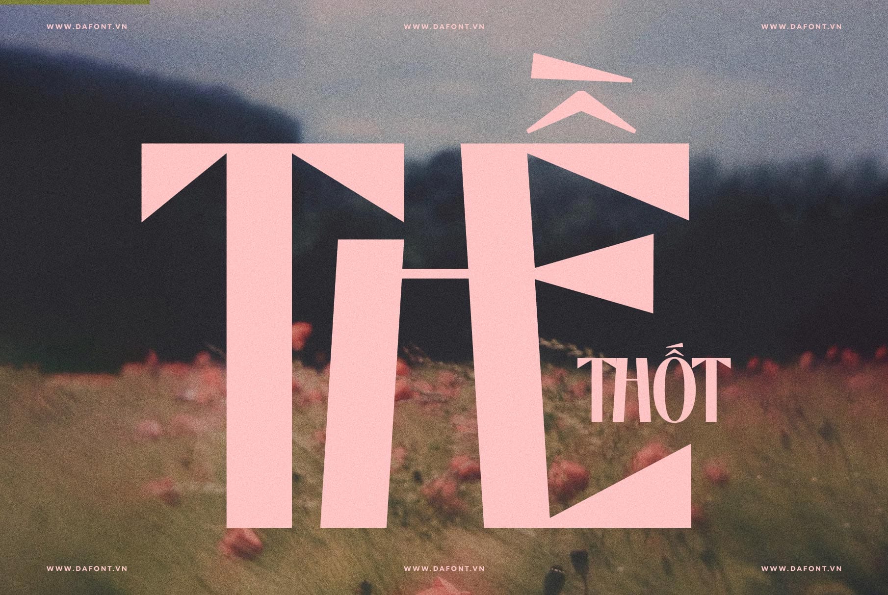 DFVN TAN – SALTERS