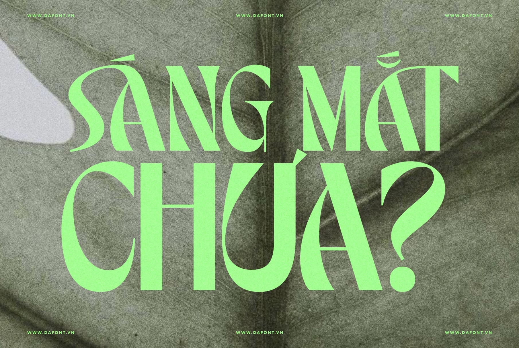 DFVN TAN – SALTERS