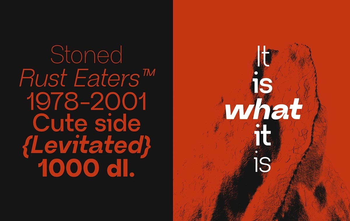 Neue Regrade Font Family pic4