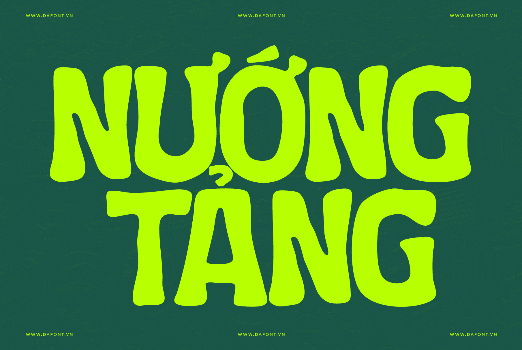 DFVN TAN – CHARLIE