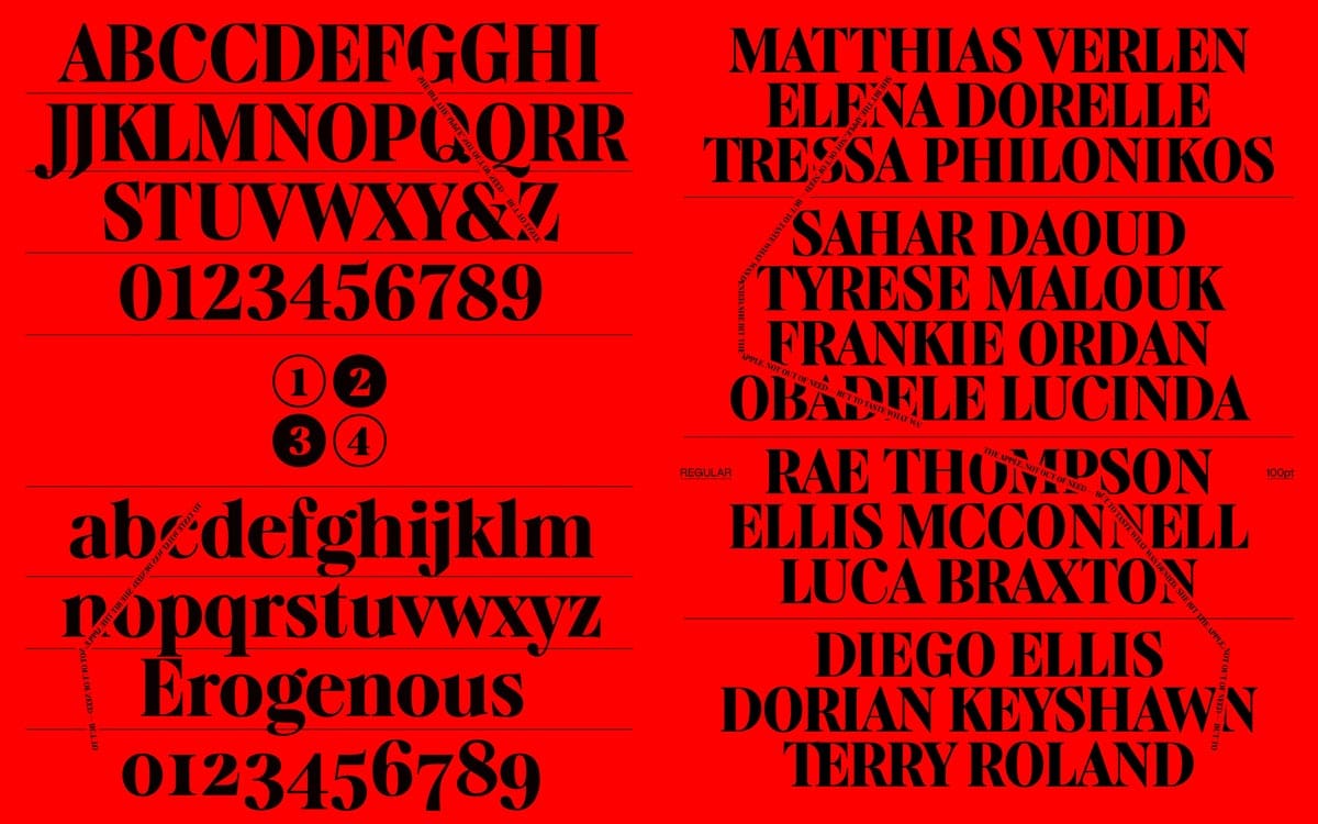 Làm mới thiết kế với những font độc đáo tháng 12/2025 16 ALT Erogenous font by Eunice Su