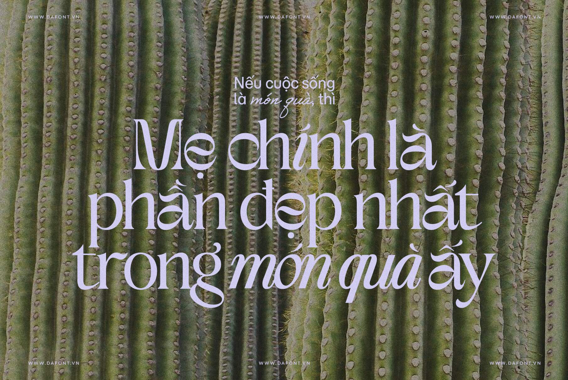 DFVN TAN – MISCHIEF