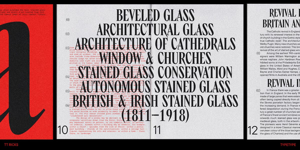 TT Ricks Font Family pic6