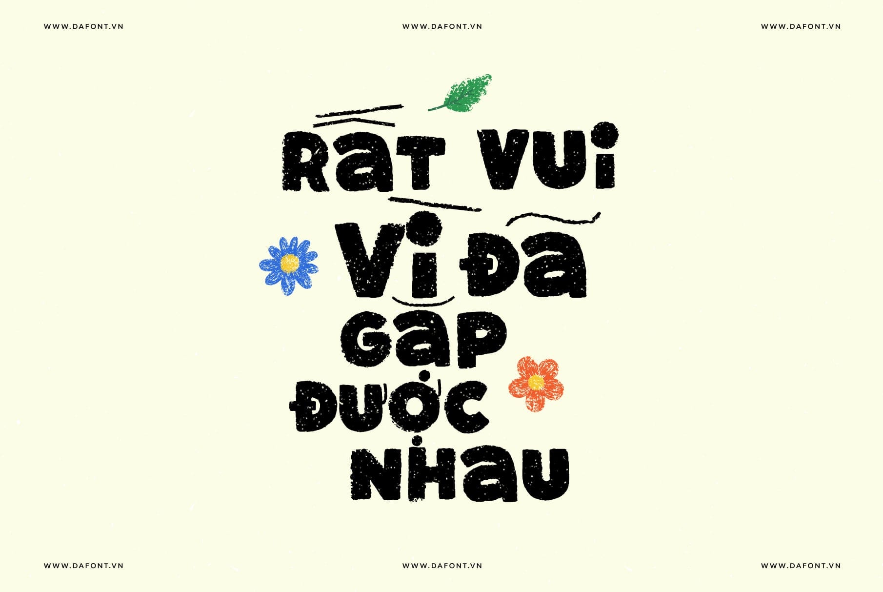 DFVN Super Curious