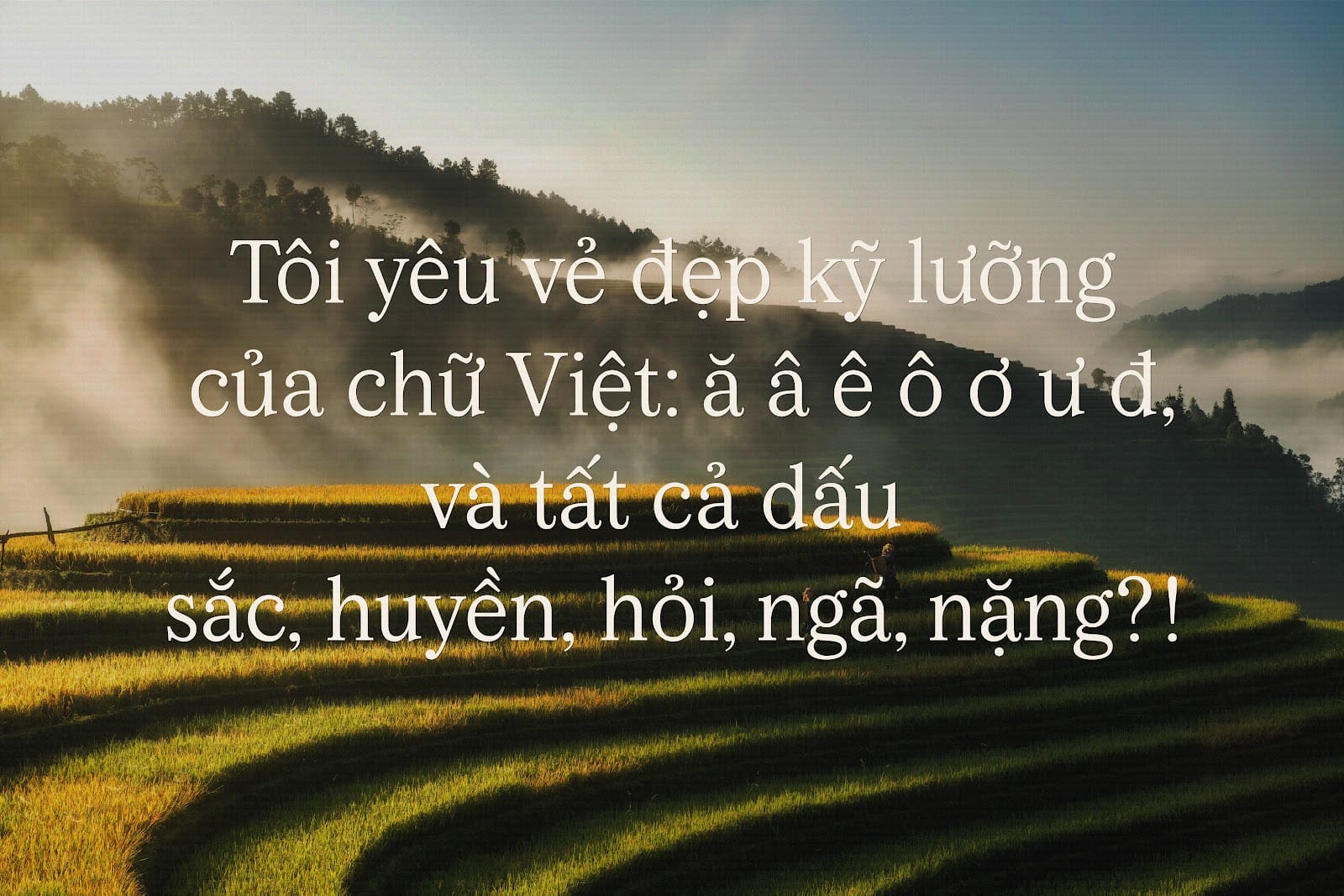 Font tiếng Việt preview 5